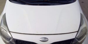R02310994 1